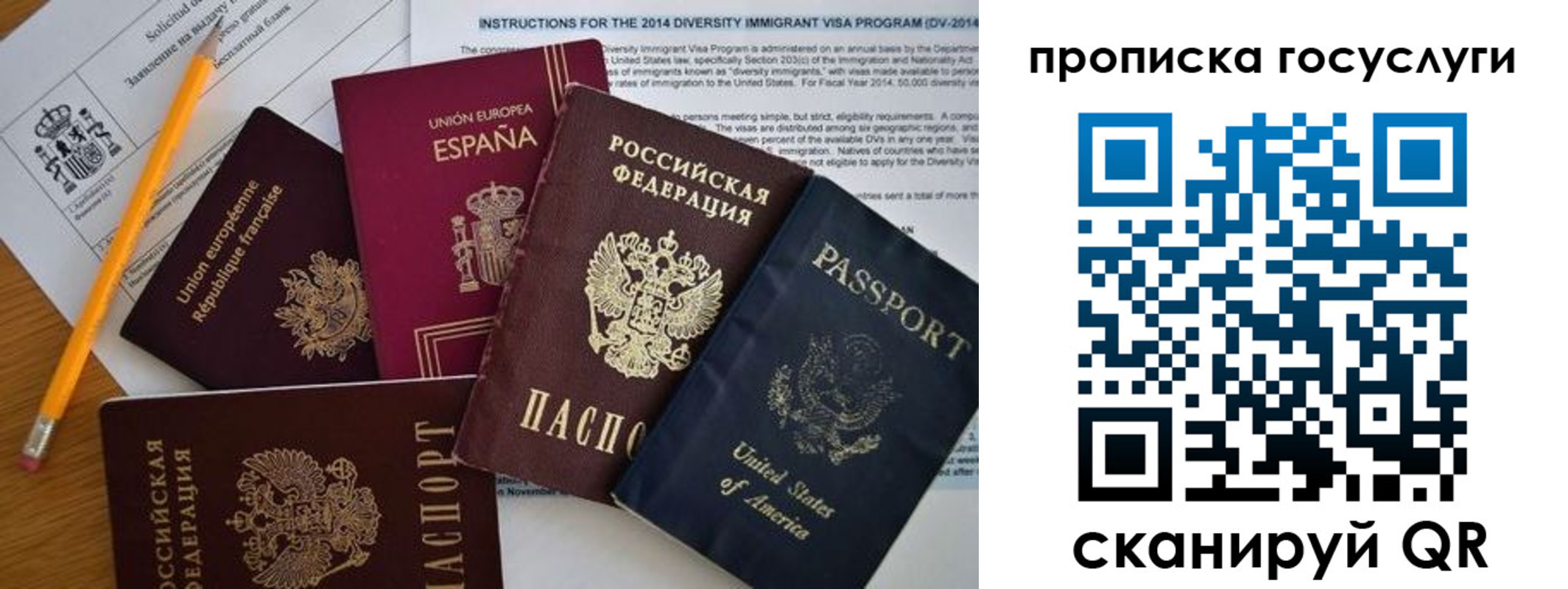 прописка гарантия в Хвалынске